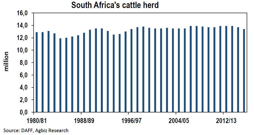 A Few Notes on South Africa’s Cattle Farming