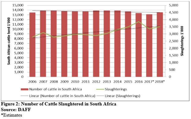 South Africa’s 2018 Cattle Slaughter Could Increase by 4% y/y