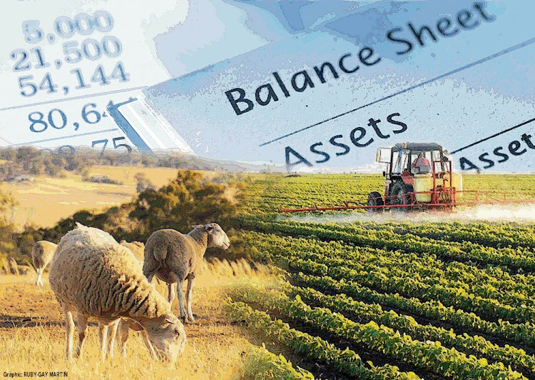Agricultural finance is key to South Africa’s inclusive agricultural growth agenda