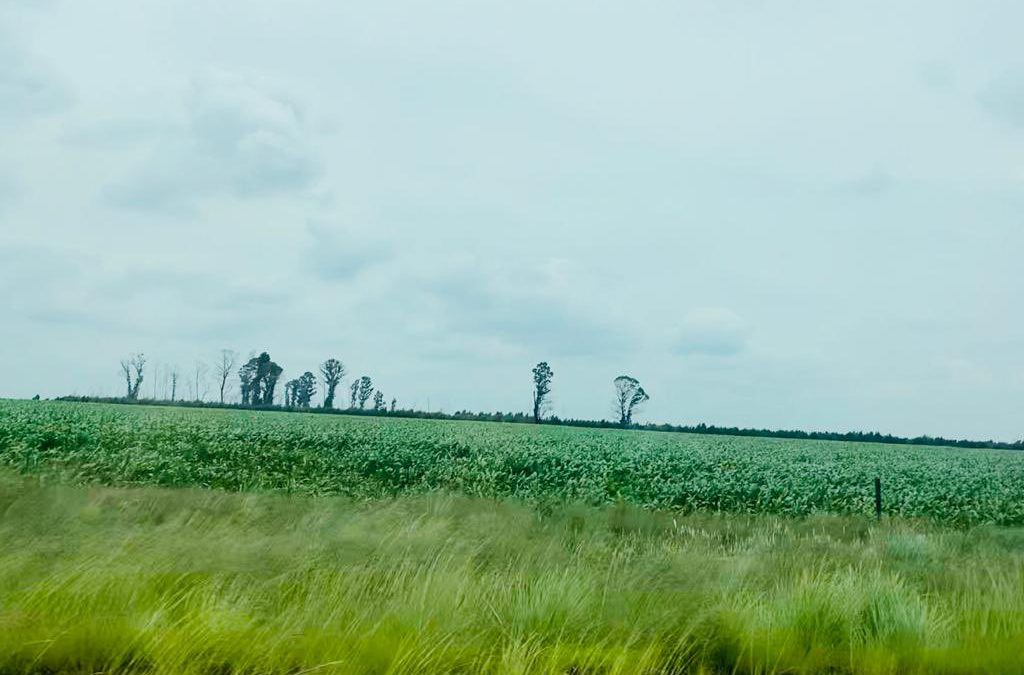 Observing agricultural conditions while driving from Pretoria to the Wild Coast