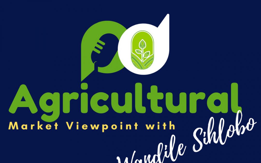 PODCAST: SA agricultural exports lifted by 5% y/y in the second half of 2022, reaching US$3,4 billion