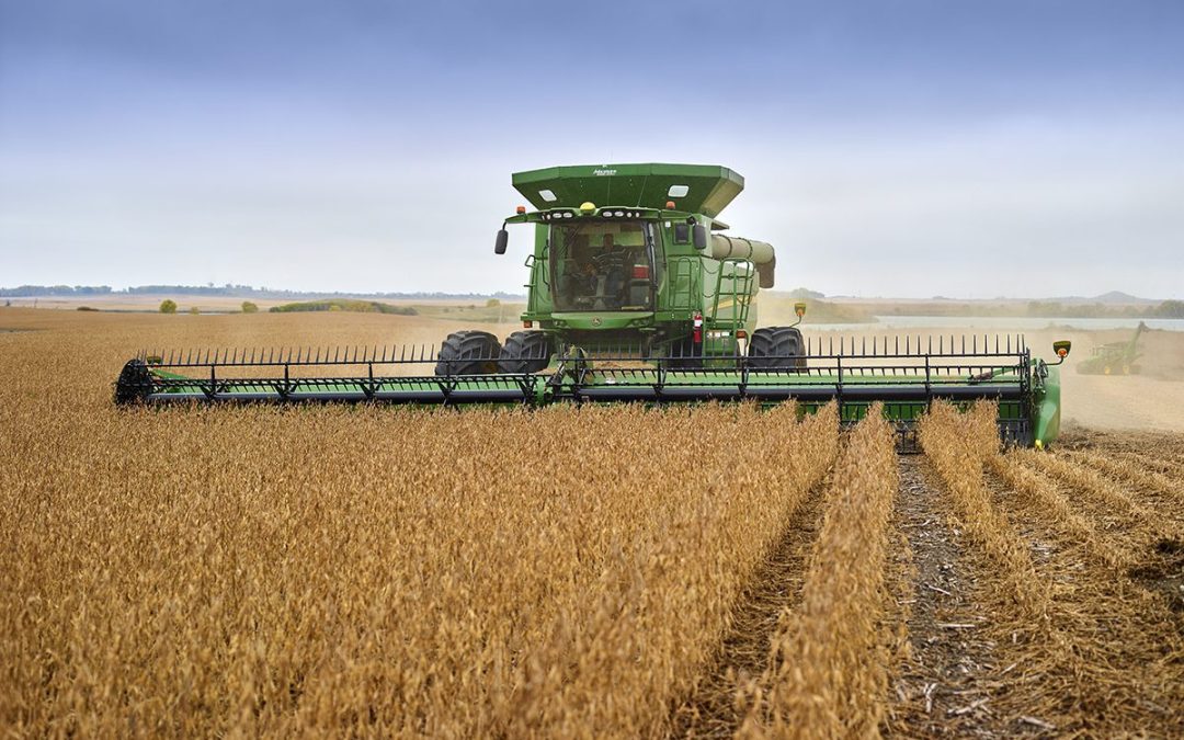 SA’s 2024-25 ample summer grain harvest bodes well for moderating the food price inflation path.