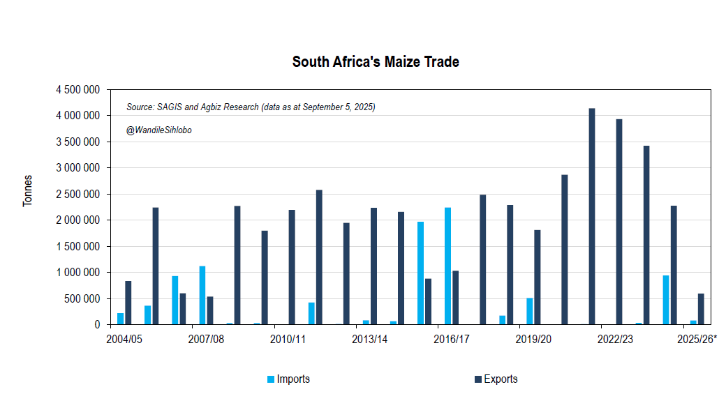 Why is South Africa importing yellow maize at a time of abundant domestic harvest?