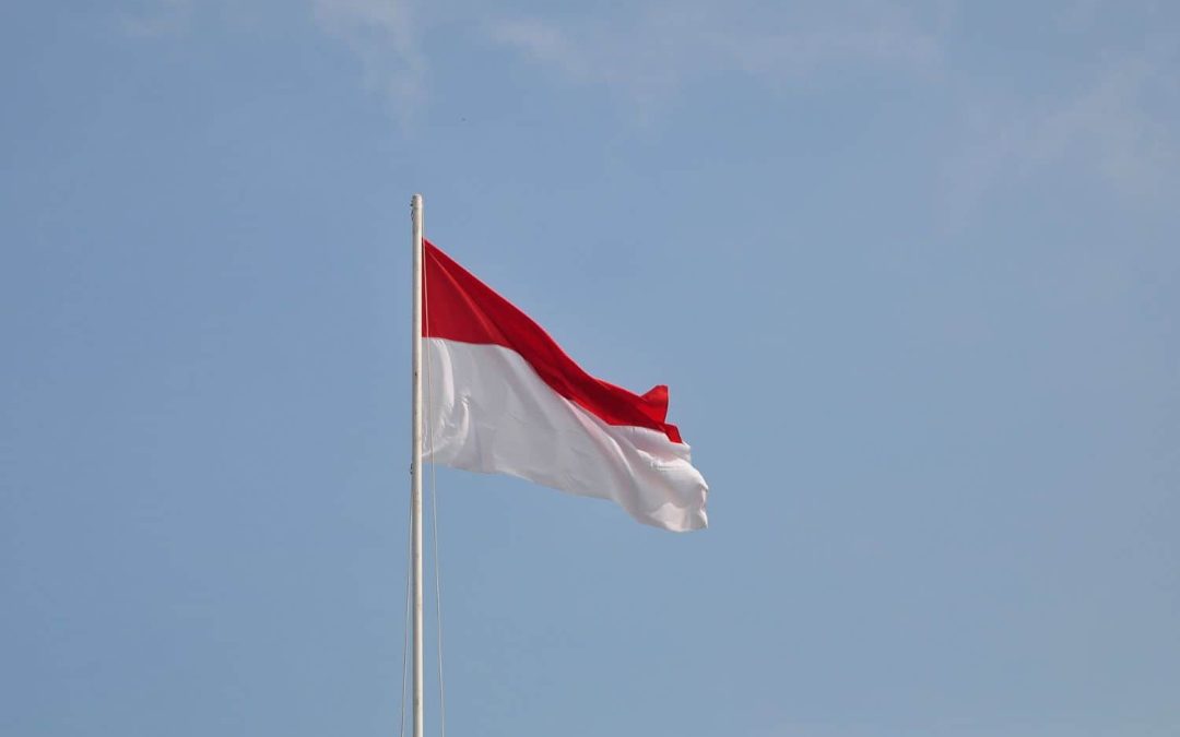 South Africa’s visit to Indonesia and its Significance in Agriculture